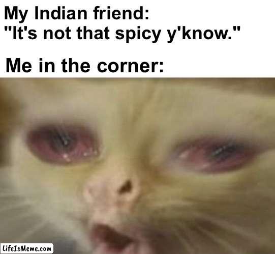"yeah *cough cough cough* it's delicious! *dies*" | My Indian friend: "It's not that spicy y'know."; Me in the corner: | image tagged in memes,unfunny | made w/ Lifeismeme meme maker
