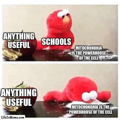 Did you know? The mitochondria is the powerhouse of the cell. | ANYTHING USEFUL; SCHOOLS; MITOCHONDRIA IS THE POWERHOUSE OF THE CELL; ANYTHING USEFUL; MITOCHONDRIA IS THE POWERHOUSE OF THE CELL | image tagged in elmo cocaine | made w/ Lifeismeme meme maker