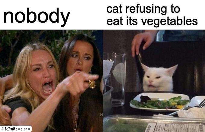 cat's don't eat vegetables | nobody; cat refusing to eat its vegetables | image tagged in memes,woman yelling at cat,cat,vegetables | made w/ Lifeismeme meme maker