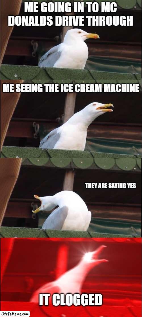 true this is true | ME GOING IN TO MC DONALDS DRIVE THROUGH; ME SEEING THE ICE CREAM MACHINE; THEY ARE SAYING YES; IT CLOGGED | image tagged in memes,inhaling seagull | made w/ Lifeismeme meme maker
