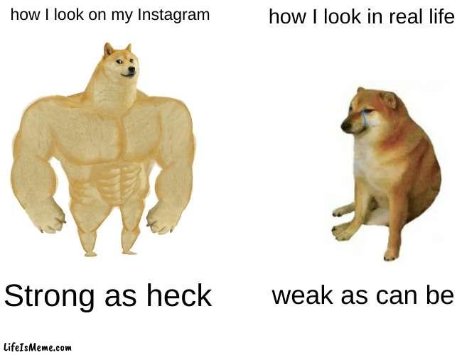 true yes yes | how I look on my Instagram; how I look in real life; Strong as heck; weak as can be | image tagged in memes,buff doge vs cheems | made w/ Lifeismeme meme maker