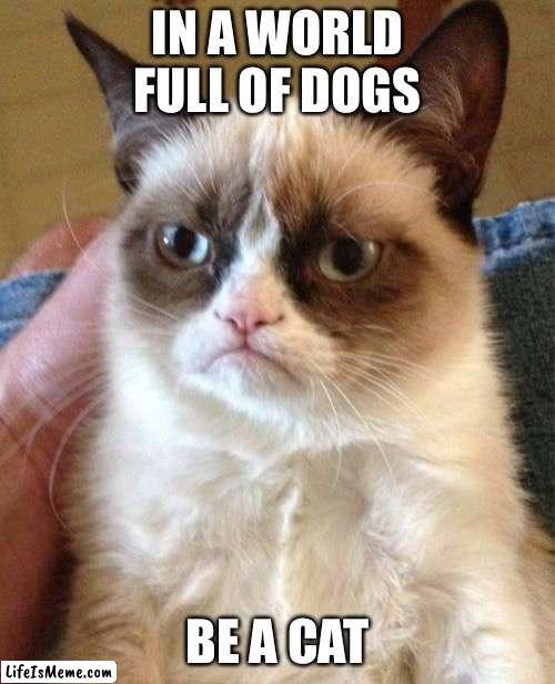 Humor Games | IN A WORLD FULL OF DOGS; BE A CAT | image tagged in memes,grumpy cat | made w/ Lifeismeme meme maker