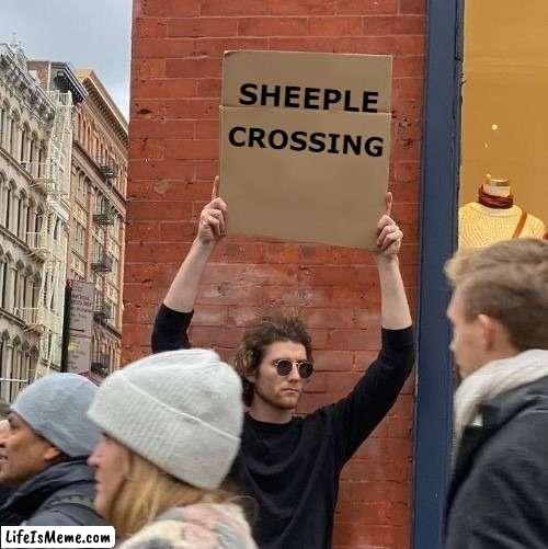 Let's Go- Keep It Moving! | CROSSING; SHEEPLE | image tagged in funny | made w/ Lifeismeme meme maker