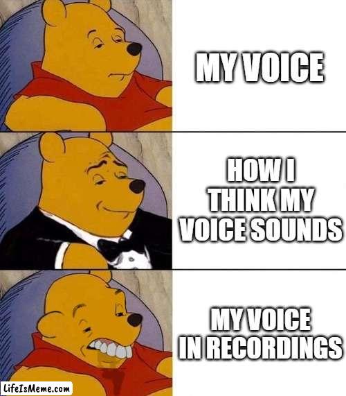Either it's my voice or the app | MY VOICE; HOW I THINK MY VOICE SOUNDS; MY VOICE IN RECORDINGS | image tagged in best better blurst,voice,memes,fun | made w/ Lifeismeme meme maker