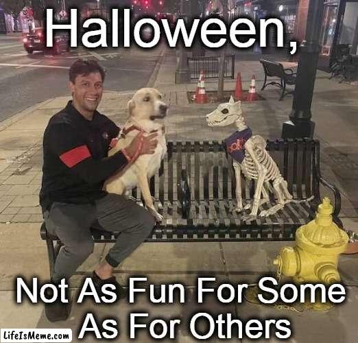 Uh, Oh . . . | Halloween, Not As Fun For Some 
As For Others | image tagged in fun,halloween,happy halloween,uh oh,imgflip humor,lol | made w/ Lifeismeme meme maker