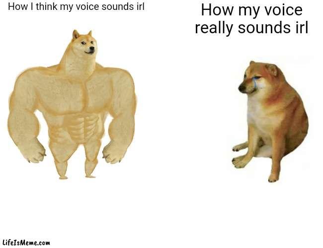 For real tho | How I think my voice sounds irl; How my voice really sounds irl | image tagged in memes,buff doge vs cheems | made w/ Lifeismeme meme maker