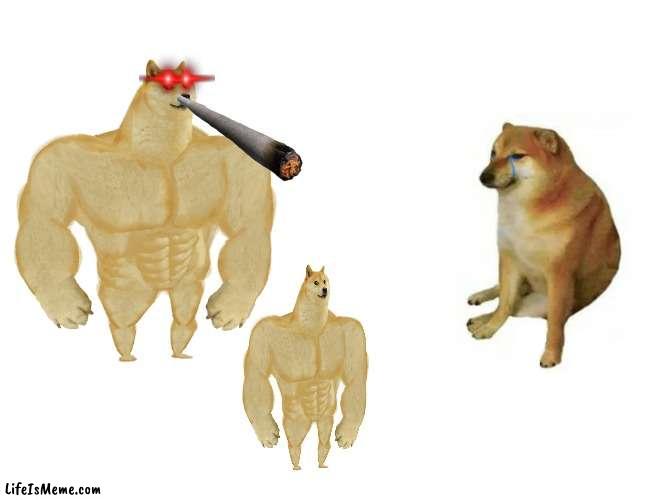 Add something and repost and add to comments | image tagged in memes,buff doge vs cheems | made w/ Lifeismeme meme maker