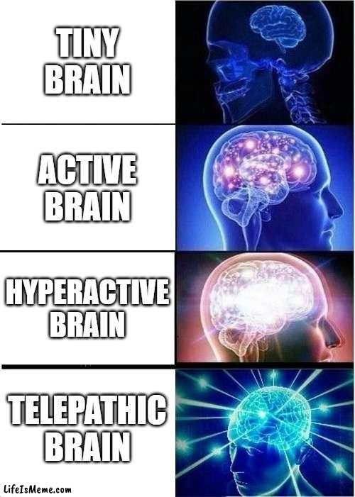 Brain Growth | TINY BRAIN; ACTIVE BRAIN; HYPERACTIVE BRAIN; TELEPATHIC BRAIN | image tagged in memes,expanding brain,literally,brains,words,i don't know | made w/ Lifeismeme meme maker