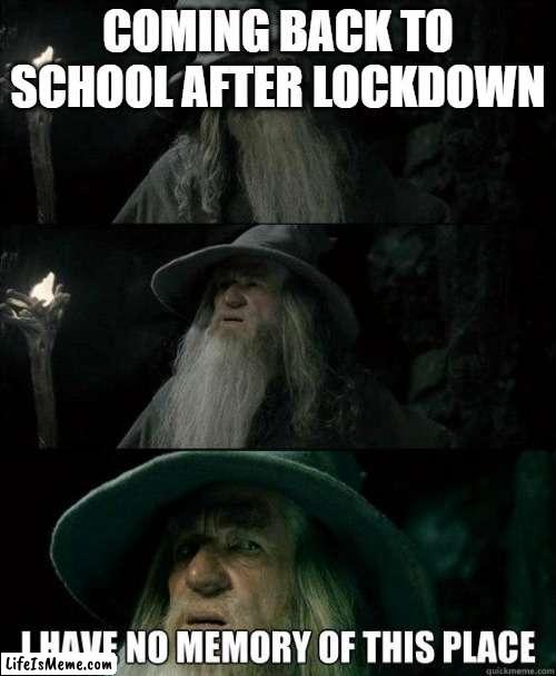 I have no memory of this place. | image tagged in confused gandalf,i have no memory of this place,memes,lotr,gandalf,school after lockdown | made w/ Lifeismeme meme maker