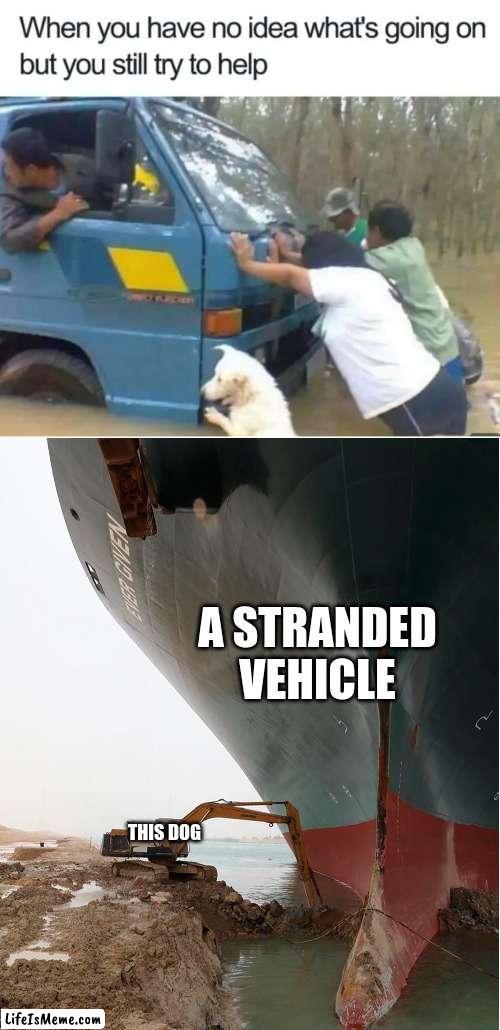 Every little bit helps | A STRANDED VEHICLE; THIS DOG | image tagged in suez-canal,funny,fun,funny memes,funny dogs | made w/ Lifeismeme meme maker