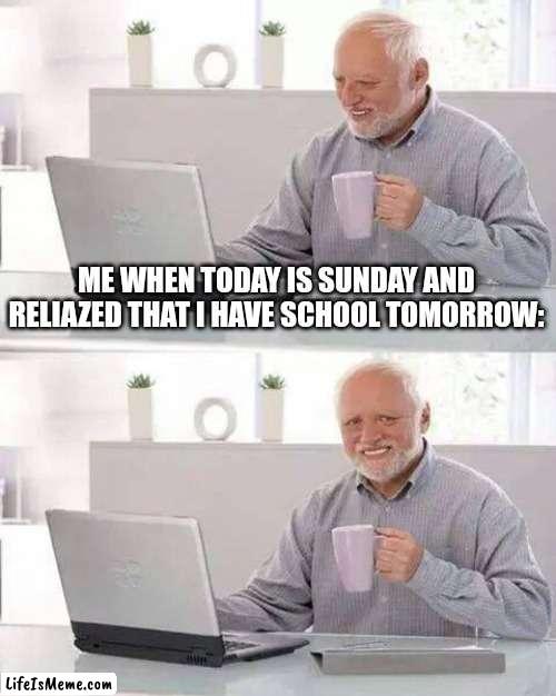 I found that I have school that day | ME WHEN TODAY IS SUNDAY AND RELIAZED THAT I HAVE SCHOOL TOMORROW: | image tagged in memes,hide the pain harold,school | made w/ Lifeismeme meme maker