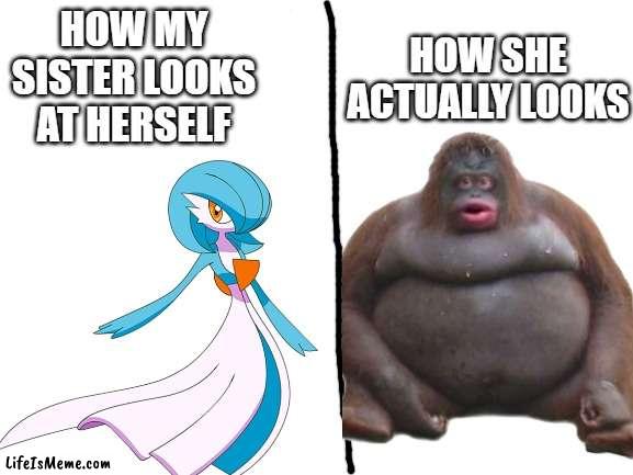 how my sister looks | HOW SHE ACTUALLY LOOKS; HOW MY SISTER LOOKS AT HERSELF | image tagged in monke | made w/ Lifeismeme meme maker
