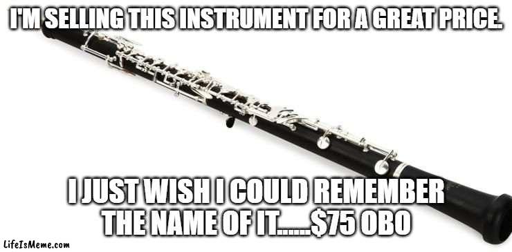 obo instrument | I'M SELLING THIS INSTRUMENT FOR A GREAT PRICE. I JUST WISH I COULD REMEMBER THE NAME OF IT......$75 OBO | image tagged in music | made w/ Lifeismeme meme maker