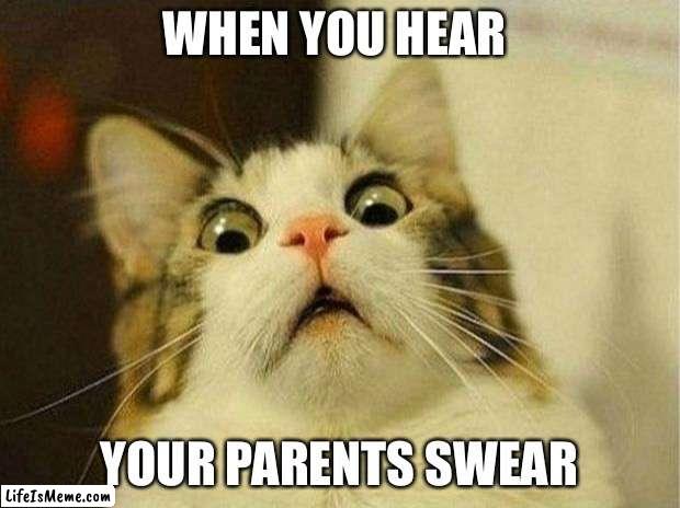Swear | WHEN YOU HEAR; YOUR PARENTS SWEAR | image tagged in memes,scared cat | made w/ Lifeismeme meme maker