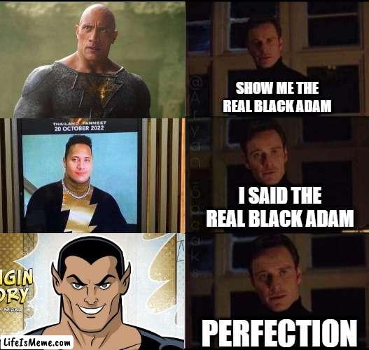 Show Me | SHOW ME THE REAL BLACK ADAM; I SAID THE REAL BLACK ADAM; PERFECTION | image tagged in show me the real,the rock,dc comics | made w/ Lifeismeme meme maker