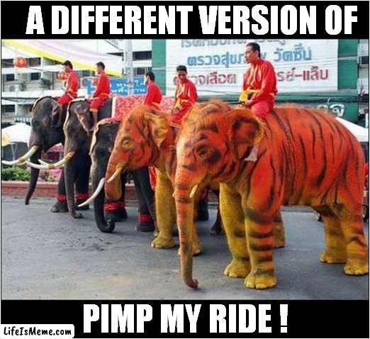 What's Happening Here ? | A DIFFERENT VERSION OF; PIMP MY RIDE ! | image tagged in fun,elephants | made w/ Lifeismeme meme maker