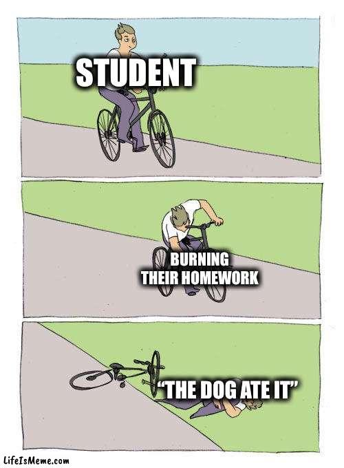 Don’t want to do homework? Well, too bad. Schools want to make us miserable. | STUDENT; BURNING THEIR HOMEWORK; “THE DOG ATE IT” | image tagged in memes,bike fall | made w/ Lifeismeme meme maker