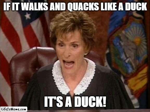Judge Judy Duck | IF IT WALKS AND QUACKS LIKE A DUCK; IT'S A DUCK! | image tagged in judge judy,duck,quack | made w/ Lifeismeme meme maker