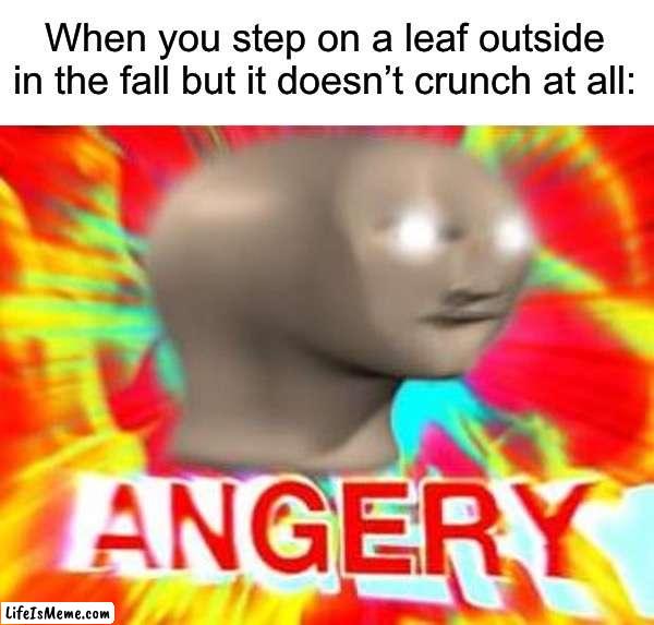 It makes me sad… | When you step on a leaf outside in the fall but it doesn’t crunch at all: | image tagged in surreal angery,memes,funny,sad,fall,leaves | made w/ Lifeismeme meme maker