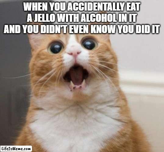 I was pretty scared there for a bit - not doing that ever again ugh | WHEN YOU ACCIDENTALLY EAT A JELLO WITH ALCOHOL IN IT AND YOU DIDN'T EVEN KNOW YOU DID IT | image tagged in scared cat,memes,relatable,cats,alcohol,scary | made w/ Lifeismeme meme maker