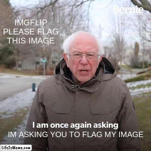 IMGFLIP FLAG THIS | IMGFLIP PLEASE FLAG THIS IMAGE; IM ASKING YOU TO FLAG MY IMAGE | image tagged in memes,bernie i am once again asking for your support | made w/ Lifeismeme meme maker