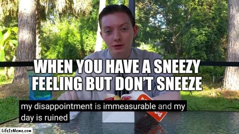 infinite disappointment | WHEN YOU HAVE A SNEEZY FEELING BUT DON’T SNEEZE | image tagged in my disappointment is immeasurable | made w/ Lifeismeme meme maker