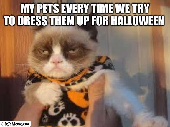 *annoyed pet noises* | MY PETS EVERY TIME WE TRY TO DRESS THEM UP FOR HALLOWEEN | image tagged in memes,grumpy cat halloween,grumpy cat,halloween,spooktober,pets | made w/ Lifeismeme meme maker