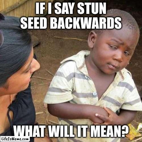 Stun seed? | IF I SAY STUN SEED BACKWARDS; WHAT WILL IT MEAN? | image tagged in memes,third world skeptical kid | made w/ Lifeismeme meme maker