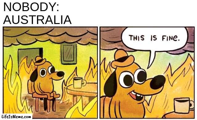 A normal day in Australia | NOBODY:
AUSTRALIA | image tagged in memes,this is fine,australia,fire | made w/ Lifeismeme meme maker