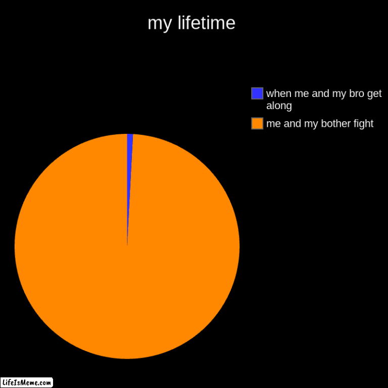 my lifetime | my lifetime | me and my bother fight, when me and my bro get along | image tagged in charts,pie charts | made w/ Lifeismeme chart maker