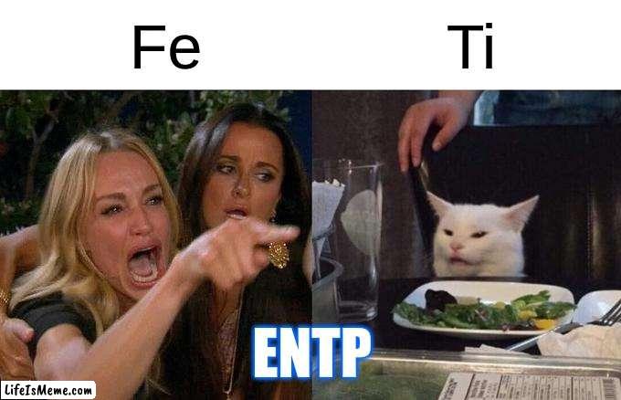 ENTP's Mind after a Conversation | Fe; Ti; ENTP | image tagged in memes,woman yelling at cat,mbti,myers briggs,entp,personality | made w/ Lifeismeme meme maker