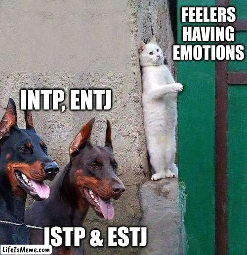 Feelers Hiding | FEELERS HAVING EMOTIONS; INTP, ENTJ; ISTP & ESTJ | image tagged in intp,entj,istp,estj,myers briggs,mbti | made w/ Lifeismeme meme maker