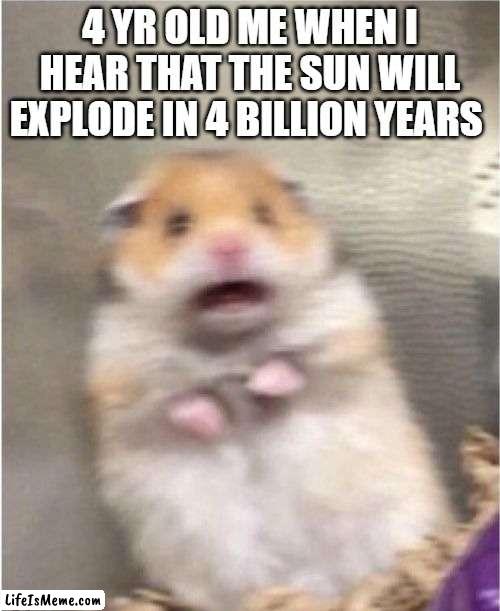 AAAAAAAHHHHHHHH! IMA GONNA BLOW UPS | 4 YR OLD ME WHEN I HEAR THAT THE SUN WILL EXPLODE IN 4 BILLION YEARS | image tagged in scared hamster,hamster,pets,funny memes,meme | made w/ Lifeismeme meme maker
