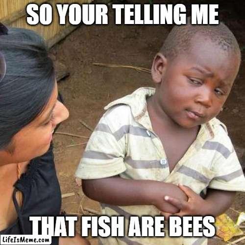 California why | SO YOUR TELLING ME; THAT FISH ARE BEES | image tagged in memes,third world skeptical kid | made w/ Lifeismeme meme maker