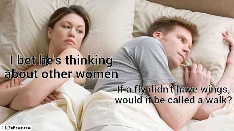 Big Brains | I bet he's thinking about other women; If a fly didn't have wings, would it be called a walk? | image tagged in memes,i bet he's thinking about other women | made w/ Lifeismeme meme maker