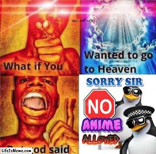 Simp. | image tagged in anime,penguins,no anime allowed,what if you wanted to go to heaven,god | made w/ Lifeismeme meme maker