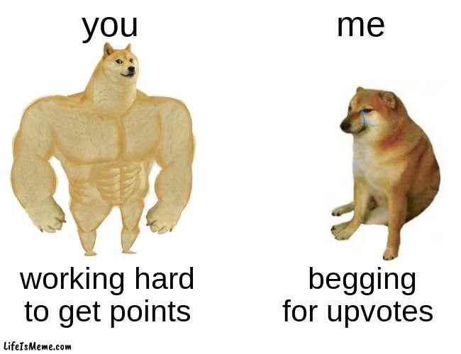 can i pls get upvotes | you; me; working hard to get points; begging for upvotes | image tagged in memes,buff doge vs cheems | made w/ Lifeismeme meme maker