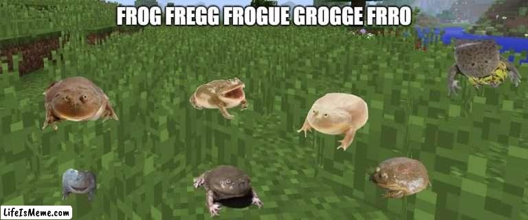 frog | FROG FREGG FROGUE GROGGE FRRO | image tagged in frog | made w/ Lifeismeme meme maker