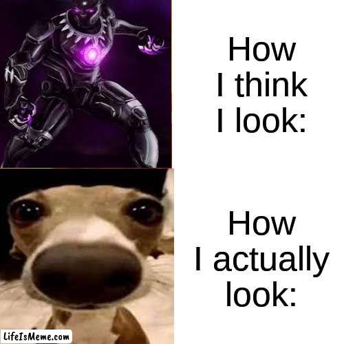 how i think i look | How I think I look:; How I actually look: | image tagged in black panther,dog | made w/ Lifeismeme meme maker