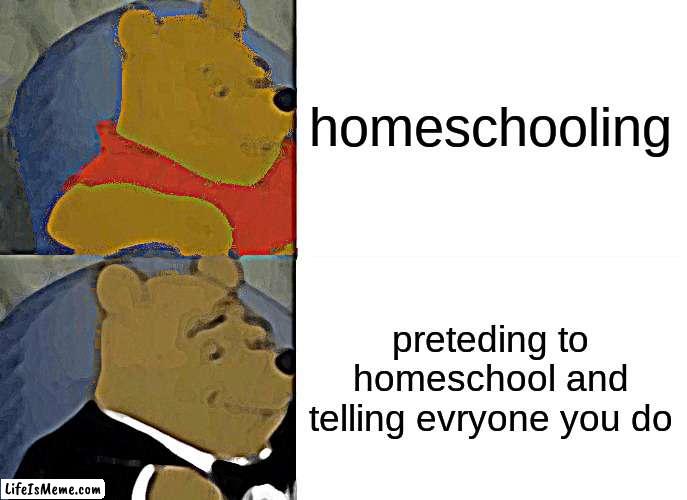 no homeschooling for you | homeschooling; preteding to homeschool and telling evryone you do | image tagged in memes,tuxedo winnie the pooh | made w/ Lifeismeme meme maker