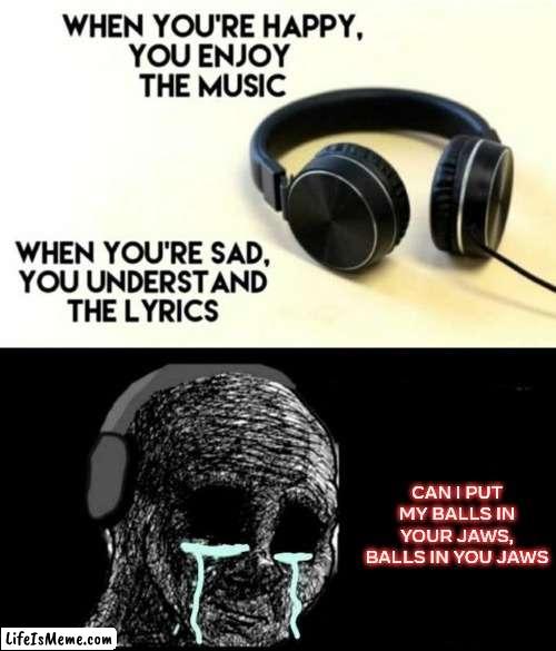 ahhhhhh thats hot... | CAN I PUT MY BALLS IN YOUR JAWS, BALLS IN YOU JAWS | image tagged in when your sad you understand the lyrics | made w/ Lifeismeme meme maker