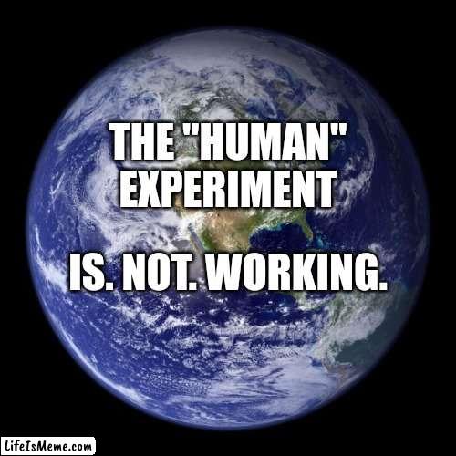 The "Human" Experiment | THE "HUMAN" EXPERIMENT; IS. NOT. WORKING. | image tagged in earth,memes,humans,failed experiment,humans are too stupid to survive,humans are too selfish to survive | made w/ Lifeismeme meme maker