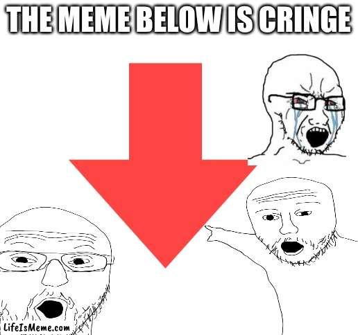 idk if its true | THE MEME BELOW IS CRINGE | image tagged in blank white template | made w/ Lifeismeme meme maker