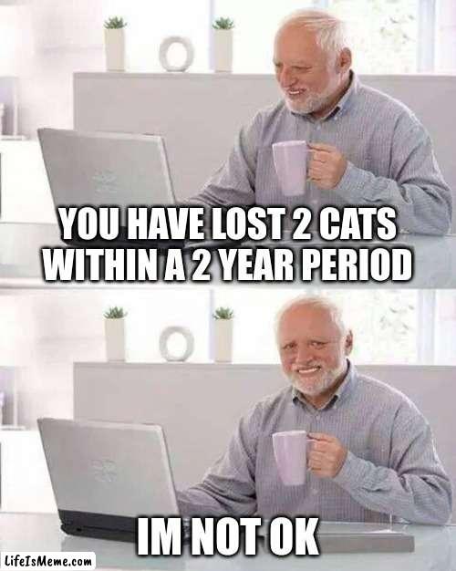 Tut and maze were there names | YOU HAVE LOST 2 CATS WITHIN A 2 YEAR PERIOD; IM NOT OK | image tagged in memes,hide the pain harold | made w/ Lifeismeme meme maker