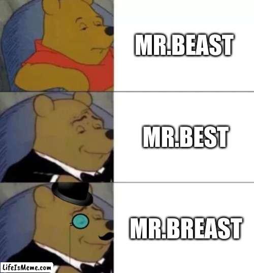 Mr breast | MR.BEAST; MR.BEST; MR.BREAST | image tagged in fancy pooh | made w/ Lifeismeme meme maker