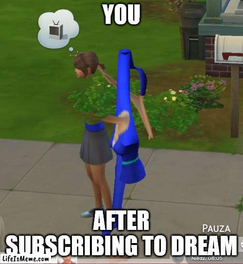 SUBSCRIBING TO DREAM BE LIKE | YOU; AFTER SUBSCRIBING TO DREAM | image tagged in sims 4,dream | made w/ Lifeismeme meme maker