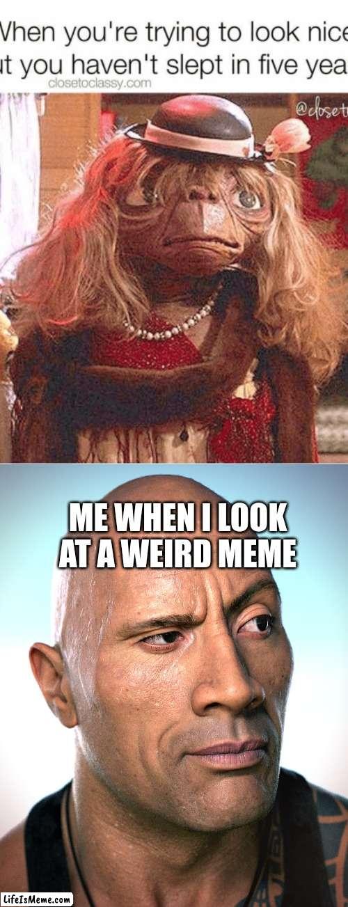 me looking at a weird meme | ME WHEN I LOOK AT A WEIRD MEME | image tagged in funny | made w/ Lifeismeme meme maker