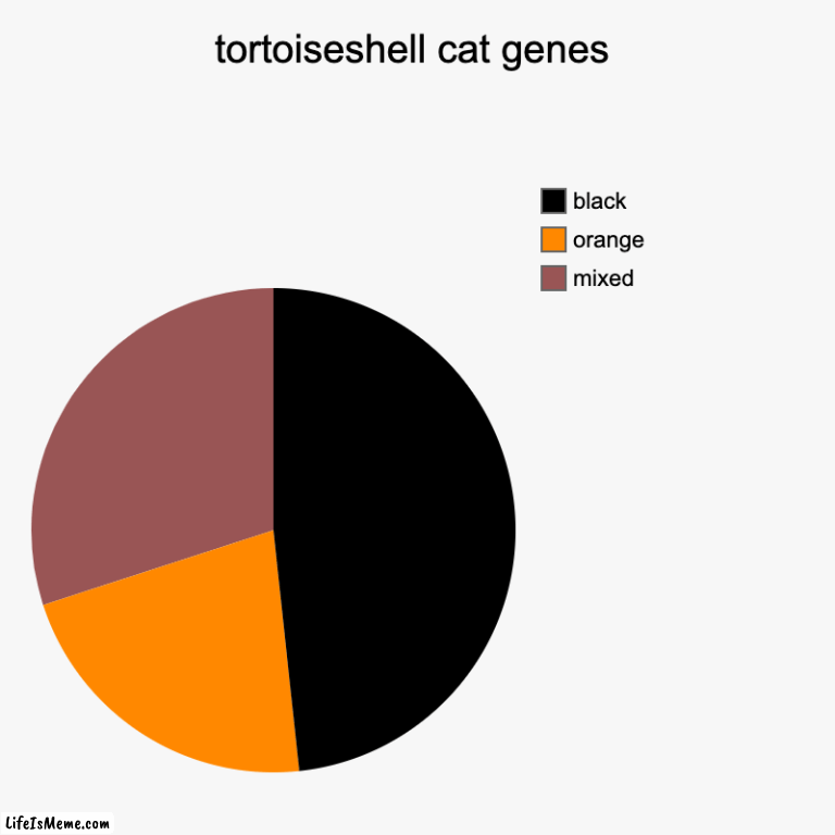 use this for your cat gene science fair | tortoiseshell cat genes | mixed, orange, black | image tagged in charts,pie charts | made w/ Lifeismeme chart maker