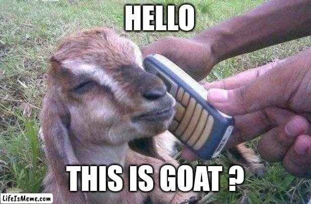 This Is Goat | HELLO; THIS IS GOAT ? | image tagged in funny,memes,goat | made w/ Lifeismeme meme maker