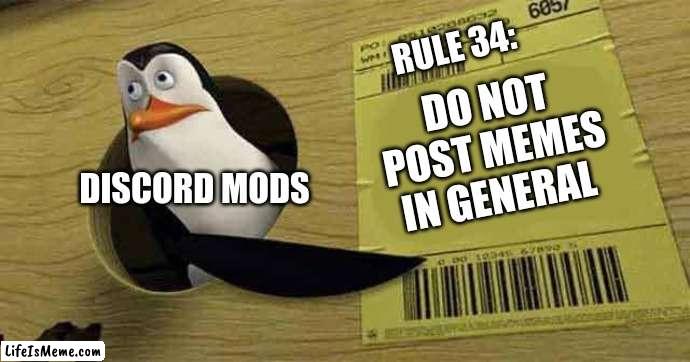 penguin | RULE 34:; DO NOT POST MEMES IN GENERAL; DISCORD MODS | image tagged in penguin pointing at sign | made w/ Lifeismeme meme maker